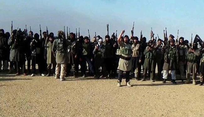 سوريا: وصول 200مسلح من “داعش ” إلى مدينة الرقة السورية قادمين من العراق