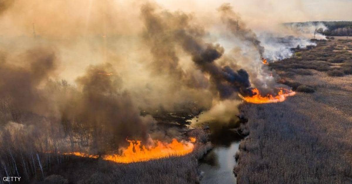 حرائق الغابات في لوهانسك أسفرت عن مصرع وإصابة 15 شخص في أوكرانيا