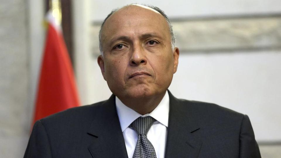 مصر تعتبر الدور التركي في ليبيا “مقلقاً”