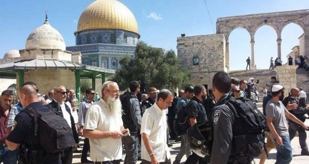 فلسطين: المستوطنين يقتحمون الأقصي فى الذكرى ال47 لإحراقة
