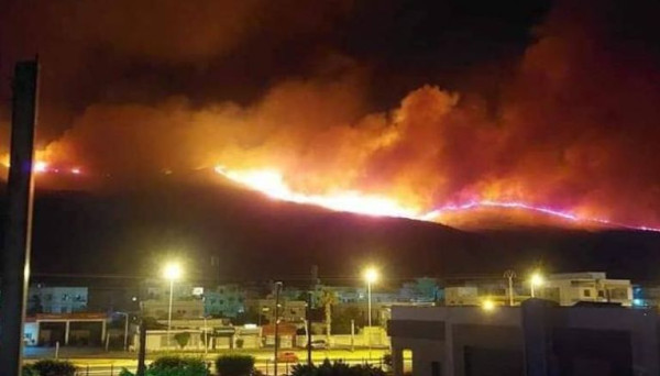 اندلاع حريق ضخم في تونس.. وإمدادات من الجزائر
