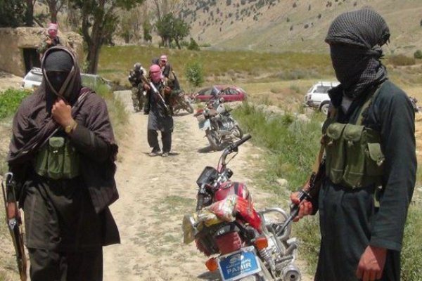 طالبان… من مزاملة القاعدة إلى حضن إيران