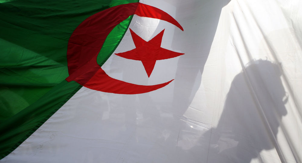 فرنسا: اشتعال غضب اليمين المتطرف بسبب احتفالات الجزائريين ببطولة أمم أفريقيا