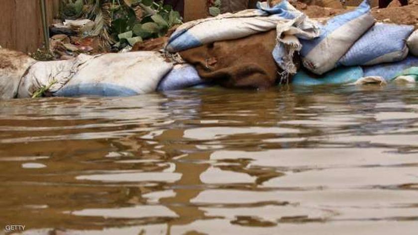 سر ظهور تماسيح متوحشة وثعابين قاتلة في مياه النيل بالسودان
