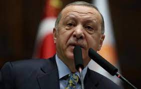 أردوغان يؤكد قدرة تركيا على المساهمة بحل أزمة الحبوب