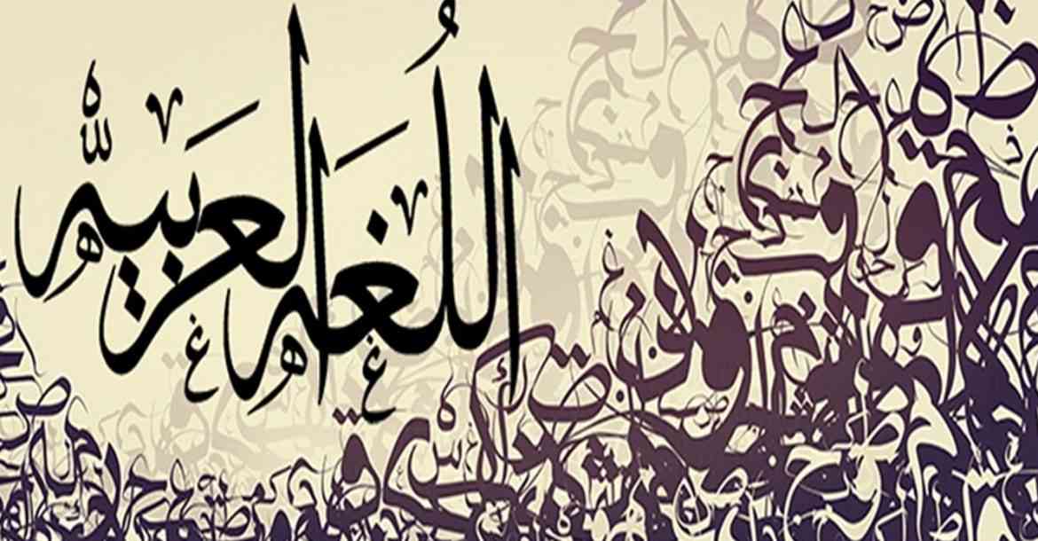 تل أبيب: ارتفاع أعداد الإسرائيليين الدارسين للغة العربية