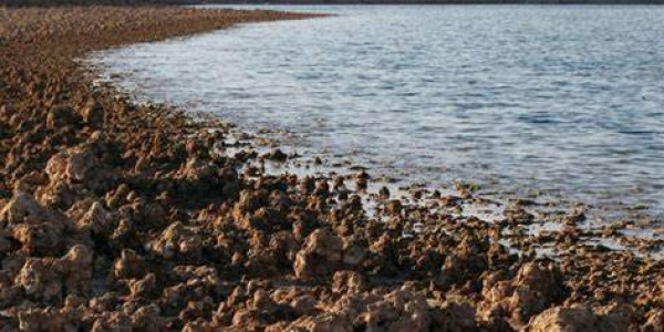 الجفاف يضرب بحيرات العراق بقوة