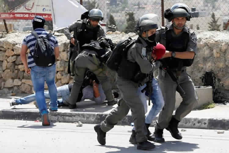 الاحتلال يعتقل 19 فلسطينيًا في الضفة بينهم امرأة وولدها