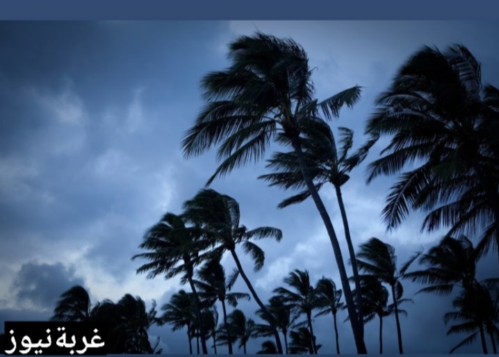 حالة الطقس في مصر يوم الجمعة 3 أكتوبر 2025: درجات الحرارة، الشبورة المائية، والأمطار الخفيفة
