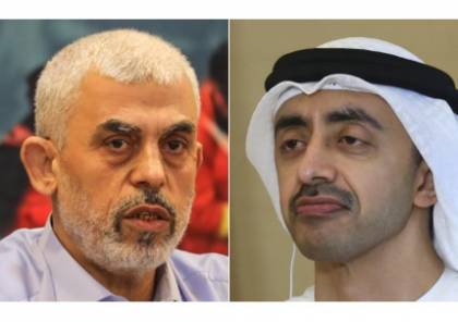 الإمارات تضع شرطًا لتمويل إعادة اعمار غزة .. ما هو؟