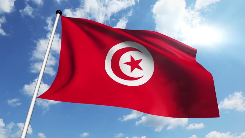 بعد غد تونس تستضيف القمة الإفريقية الرقمية بحضور 20 وزير إفريقي