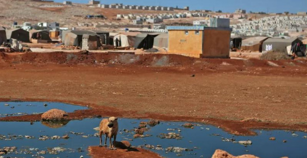 سوريا: ارتفاع أعداد الوفيات بالكوليرا إلى 29 شخصاً