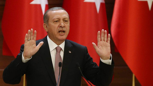 أردوغان: وقف إطلاق النار في سوريا لا يشمل كل المناطق