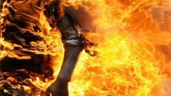 احتجت على قطع الأشجار.. فأحرقت حية!