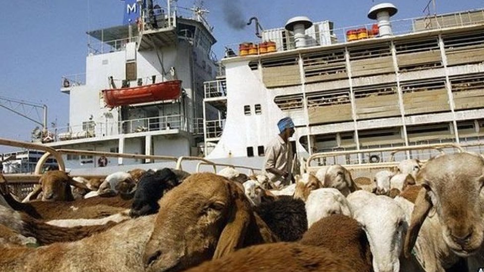 جزيرة سواكن: ما مصير الاتفاق التركي السوداني حولها بعد الإطاحة بالبشير؟