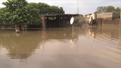 فيضانات السودان.. القتلى بالعشرات والمنازل المدمرة بالآلاف